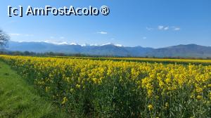 [P01]  -- <small>// FĂRĂ DESCRIERE</small> » foto by hd88gsg
 - 
<span class="allrVoted glyphicon glyphicon-heart hidden" id="av1525424"></span>
<a class="m-l-10 hidden" id="sv1525424" onclick="voting_Foto_DelVot(,1525424,4346)" role="button">șterge vot <span class="glyphicon glyphicon-remove"></span></a>
<a id="v91525424" class=" c-red"  onclick="voting_Foto_SetVot(1525424)" role="button"><span class="glyphicon glyphicon-heart-empty"></span> <b>LIKE</b> = Votează poza</a> <img class="hidden"  id="f1525424W9" src="/imagini/loader.gif" border="0" /><span class="AjErrMes hidden" id="e1525424ErM"></span>