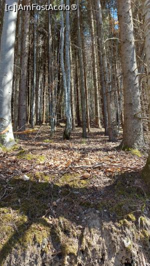 [P15]  -- <small>// FĂRĂ DESCRIERE</small> » foto by hd88gsg
 - 
<span class="allrVoted glyphicon glyphicon-heart hidden" id="av1525438"></span>
<a class="m-l-10 hidden" id="sv1525438" onclick="voting_Foto_DelVot(,1525438,4346)" role="button">șterge vot <span class="glyphicon glyphicon-remove"></span></a>
<a id="v91525438" class=" c-red"  onclick="voting_Foto_SetVot(1525438)" role="button"><span class="glyphicon glyphicon-heart-empty"></span> <b>LIKE</b> = Votează poza</a> <img class="hidden"  id="f1525438W9" src="/imagini/loader.gif" border="0" /><span class="AjErrMes hidden" id="e1525438ErM"></span>