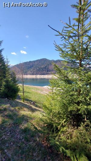 [P19]  -- <small>// FĂRĂ DESCRIERE</small> » foto by hd88gsg
 - 
<span class="allrVoted glyphicon glyphicon-heart hidden" id="av1525442"></span>
<a class="m-l-10 hidden" id="sv1525442" onclick="voting_Foto_DelVot(,1525442,4346)" role="button">șterge vot <span class="glyphicon glyphicon-remove"></span></a>
<a id="v91525442" class=" c-red"  onclick="voting_Foto_SetVot(1525442)" role="button"><span class="glyphicon glyphicon-heart-empty"></span> <b>LIKE</b> = Votează poza</a> <img class="hidden"  id="f1525442W9" src="/imagini/loader.gif" border="0" /><span class="AjErrMes hidden" id="e1525442ErM"></span>