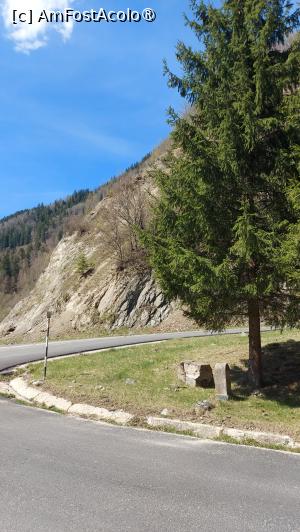 [P31]  -- <small>// FĂRĂ DESCRIERE</small> » foto by hd88gsg
 - 
<span class="allrVoted glyphicon glyphicon-heart hidden" id="av1525454"></span>
<a class="m-l-10 hidden" id="sv1525454" onclick="voting_Foto_DelVot(,1525454,4346)" role="button">șterge vot <span class="glyphicon glyphicon-remove"></span></a>
<a id="v91525454" class=" c-red"  onclick="voting_Foto_SetVot(1525454)" role="button"><span class="glyphicon glyphicon-heart-empty"></span> <b>LIKE</b> = Votează poza</a> <img class="hidden"  id="f1525454W9" src="/imagini/loader.gif" border="0" /><span class="AjErrMes hidden" id="e1525454ErM"></span>