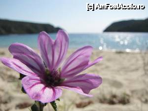[P12]  -- <small>// FĂRĂ DESCRIERE</small> » foto by no_oxigen
 - 
<span class="allrVoted glyphicon glyphicon-heart hidden" id="av406397"></span>
<a class="m-l-10 hidden" id="sv406397" onclick="voting_Foto_DelVot(,406397,4378)" role="button">șterge vot <span class="glyphicon glyphicon-remove"></span></a>
<a id="v9406397" class=" c-red"  onclick="voting_Foto_SetVot(406397)" role="button"><span class="glyphicon glyphicon-heart-empty"></span> <b>LIKE</b> = Votează poza</a> <img class="hidden"  id="f406397W9" src="/imagini/loader.gif" border="0" /><span class="AjErrMes hidden" id="e406397ErM"></span>