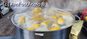 [P21] Porumbul clocotea în cratiță (10 lei). » foto by tata123 🔱
 - 
<span class="allrVoted glyphicon glyphicon-heart hidden" id="av1514795"></span>
<a class="m-l-10 hidden" id="sv1514795" onclick="voting_Foto_DelVot(,1514795,4399)" role="button">șterge vot <span class="glyphicon glyphicon-remove"></span></a>
<a id="v91514795" class=" c-red"  onclick="voting_Foto_SetVot(1514795)" role="button"><span class="glyphicon glyphicon-heart-empty"></span> <b>LIKE</b> = Votează poza</a> <img class="hidden"  id="f1514795W9" src="/imagini/loader.gif" border="0" /><span class="AjErrMes hidden" id="e1514795ErM"></span>