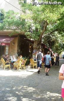 [P14] stradute inguste si cafenele la tot pasul in Valldemosa » foto by nicoletass
 - 
<span class="allrVoted glyphicon glyphicon-heart hidden" id="av239910"></span>
<a class="m-l-10 hidden" id="sv239910" onclick="voting_Foto_DelVot(,239910,4407)" role="button">șterge vot <span class="glyphicon glyphicon-remove"></span></a>
<a id="v9239910" class=" c-red"  onclick="voting_Foto_SetVot(239910)" role="button"><span class="glyphicon glyphicon-heart-empty"></span> <b>LIKE</b> = Votează poza</a> <img class="hidden"  id="f239910W9" src="/imagini/loader.gif" border="0" /><span class="AjErrMes hidden" id="e239910ErM"></span>