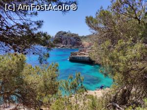 [P70] Calo del Moro » foto by crismis
 - 
<span class="allrVoted glyphicon glyphicon-heart hidden" id="av1374915"></span>
<a class="m-l-10 hidden" id="sv1374915" onclick="voting_Foto_DelVot(,1374915,4407)" role="button">șterge vot <span class="glyphicon glyphicon-remove"></span></a>
<a id="v91374915" class=" c-red"  onclick="voting_Foto_SetVot(1374915)" role="button"><span class="glyphicon glyphicon-heart-empty"></span> <b>LIKE</b> = Votează poza</a> <img class="hidden"  id="f1374915W9" src="/imagini/loader.gif" border="0" /><span class="AjErrMes hidden" id="e1374915ErM"></span>