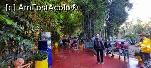 [P11] Marrakech, Grădina Majorelle, La intrare » foto by mprofeanu
 - 
<span class="allrVoted glyphicon glyphicon-heart hidden" id="av1483258"></span>
<a class="m-l-10 hidden" id="sv1483258" onclick="voting_Foto_DelVot(,1483258,4416)" role="button">șterge vot <span class="glyphicon glyphicon-remove"></span></a>
<a id="v91483258" class=" c-red"  onclick="voting_Foto_SetVot(1483258)" role="button"><span class="glyphicon glyphicon-heart-empty"></span> <b>LIKE</b> = Votează poza</a> <img class="hidden"  id="f1483258W9" src="/imagini/loader.gif" border="0" /><span class="AjErrMes hidden" id="e1483258ErM"></span>