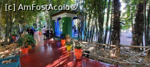 [P12] Marrakech, Grădina Majorelle, Foișorul vopsit în verde și albastru, poză micșorată la jumătate » foto by mprofeanu
 - 
<span class="allrVoted glyphicon glyphicon-heart hidden" id="av1483259"></span>
<a class="m-l-10 hidden" id="sv1483259" onclick="voting_Foto_DelVot(,1483259,4416)" role="button">șterge vot <span class="glyphicon glyphicon-remove"></span></a>
<a id="v91483259" class=" c-red"  onclick="voting_Foto_SetVot(1483259)" role="button"><span class="glyphicon glyphicon-heart-empty"></span> <b>LIKE</b> = Votează poza</a> <img class="hidden"  id="f1483259W9" src="/imagini/loader.gif" border="0" /><span class="AjErrMes hidden" id="e1483259ErM"></span>