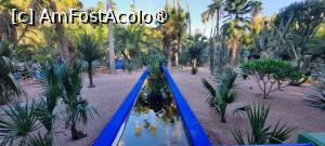 [P16] Marrakech, Grădina Majorelle, Canalul de irigare cu rol și de îmfrumusețare » foto by mprofeanu
 - 
<span class="allrVoted glyphicon glyphicon-heart hidden" id="av1483263"></span>
<a class="m-l-10 hidden" id="sv1483263" onclick="voting_Foto_DelVot(,1483263,4416)" role="button">șterge vot <span class="glyphicon glyphicon-remove"></span></a>
<a id="v91483263" class=" c-red"  onclick="voting_Foto_SetVot(1483263)" role="button"><span class="glyphicon glyphicon-heart-empty"></span> <b>LIKE</b> = Votează poza</a> <img class="hidden"  id="f1483263W9" src="/imagini/loader.gif" border="0" /><span class="AjErrMes hidden" id="e1483263ErM"></span>