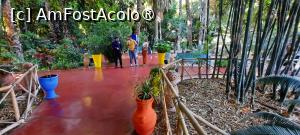 [P17] Marrakech, Grădina Majorelle, Prin grădina viu colorată în verde, albastru, roșu închis, galben și portocaliu, spre Poarta încuiată » foto by mprofeanu
 - 
<span class="allrVoted glyphicon glyphicon-heart hidden" id="av1483264"></span>
<a class="m-l-10 hidden" id="sv1483264" onclick="voting_Foto_DelVot(,1483264,4416)" role="button">șterge vot <span class="glyphicon glyphicon-remove"></span></a>
<a id="v91483264" class=" c-red"  onclick="voting_Foto_SetVot(1483264)" role="button"><span class="glyphicon glyphicon-heart-empty"></span> <b>LIKE</b> = Votează poza</a> <img class="hidden"  id="f1483264W9" src="/imagini/loader.gif" border="0" /><span class="AjErrMes hidden" id="e1483264ErM"></span>
