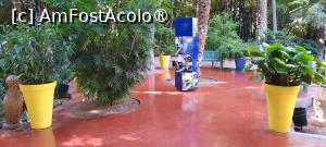 [P18] Marrakech, Grădina Majorelle, Prin Grădina viu colorată, spre Poarta încuiată în dreapta » foto by mprofeanu
 - 
<span class="allrVoted glyphicon glyphicon-heart hidden" id="av1483265"></span>
<a class="m-l-10 hidden" id="sv1483265" onclick="voting_Foto_DelVot(,1483265,4416)" role="button">șterge vot <span class="glyphicon glyphicon-remove"></span></a>
<a id="v91483265" class=" c-red"  onclick="voting_Foto_SetVot(1483265)" role="button"><span class="glyphicon glyphicon-heart-empty"></span> <b>LIKE</b> = Votează poza</a> <img class="hidden"  id="f1483265W9" src="/imagini/loader.gif" border="0" /><span class="AjErrMes hidden" id="e1483265ErM"></span>