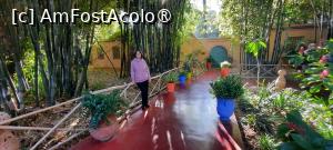 [P19] Marrakech, Grădina Majorelle, Plantația de Bambus, Poartă a Grădinii încuiată după foișor » foto by mprofeanu
 - 
<span class="allrVoted glyphicon glyphicon-heart hidden" id="av1483266"></span>
<a class="m-l-10 hidden" id="sv1483266" onclick="voting_Foto_DelVot(,1483266,4416)" role="button">șterge vot <span class="glyphicon glyphicon-remove"></span></a>
<a id="v91483266" class=" c-red"  onclick="voting_Foto_SetVot(1483266)" role="button"><span class="glyphicon glyphicon-heart-empty"></span> <b>LIKE</b> = Votează poza</a> <img class="hidden"  id="f1483266W9" src="/imagini/loader.gif" border="0" /><span class="AjErrMes hidden" id="e1483266ErM"></span>