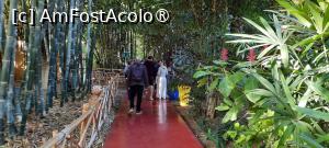 [P20] Marrakech, Grădina Majorelle, Plantația de Bambus » foto by mprofeanu
 - 
<span class="allrVoted glyphicon glyphicon-heart hidden" id="av1483267"></span>
<a class="m-l-10 hidden" id="sv1483267" onclick="voting_Foto_DelVot(,1483267,4416)" role="button">șterge vot <span class="glyphicon glyphicon-remove"></span></a>
<a id="v91483267" class=" c-red"  onclick="voting_Foto_SetVot(1483267)" role="button"><span class="glyphicon glyphicon-heart-empty"></span> <b>LIKE</b> = Votează poza</a> <img class="hidden"  id="f1483267W9" src="/imagini/loader.gif" border="0" /><span class="AjErrMes hidden" id="e1483267ErM"></span>