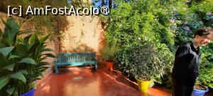 [P24] Marrakech, Grădina Majorelle, Loc de odihnă plin de flori și de culori » foto by mprofeanu
 - 
<span class="allrVoted glyphicon glyphicon-heart hidden" id="av1483271"></span>
<a class="m-l-10 hidden" id="sv1483271" onclick="voting_Foto_DelVot(,1483271,4416)" role="button">șterge vot <span class="glyphicon glyphicon-remove"></span></a>
<a id="v91483271" class=" c-red"  onclick="voting_Foto_SetVot(1483271)" role="button"><span class="glyphicon glyphicon-heart-empty"></span> <b>LIKE</b> = Votează poza</a> <img class="hidden"  id="f1483271W9" src="/imagini/loader.gif" border="0" /><span class="AjErrMes hidden" id="e1483271ErM"></span>