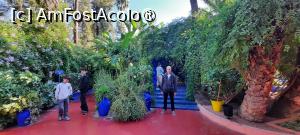 [P25] Marrakech, Grădina Majorelle, Pergola » foto by mprofeanu
 - 
<span class="allrVoted glyphicon glyphicon-heart hidden" id="av1483272"></span>
<a class="m-l-10 hidden" id="sv1483272" onclick="voting_Foto_DelVot(,1483272,4416)" role="button">șterge vot <span class="glyphicon glyphicon-remove"></span></a>
<a id="v91483272" class=" c-red"  onclick="voting_Foto_SetVot(1483272)" role="button"><span class="glyphicon glyphicon-heart-empty"></span> <b>LIKE</b> = Votează poza</a> <img class="hidden"  id="f1483272W9" src="/imagini/loader.gif" border="0" /><span class="AjErrMes hidden" id="e1483272ErM"></span>