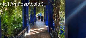 [P27] Marrakech, Grădina Majorelle, Pergola, în dreapta Iazul cu Nuferi » foto by mprofeanu
 - 
<span class="allrVoted glyphicon glyphicon-heart hidden" id="av1483274"></span>
<a class="m-l-10 hidden" id="sv1483274" onclick="voting_Foto_DelVot(,1483274,4416)" role="button">șterge vot <span class="glyphicon glyphicon-remove"></span></a>
<a id="v91483274" class=" c-red"  onclick="voting_Foto_SetVot(1483274)" role="button"><span class="glyphicon glyphicon-heart-empty"></span> <b>LIKE</b> = Votează poza</a> <img class="hidden"  id="f1483274W9" src="/imagini/loader.gif" border="0" /><span class="AjErrMes hidden" id="e1483274ErM"></span>