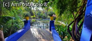 [P28] Marrakech, Grădina Majorelle, Iazul cu Nuferi, poză micșorată la jumătate » foto by mprofeanu
 - 
<span class="allrVoted glyphicon glyphicon-heart hidden" id="av1483275"></span>
<a class="m-l-10 hidden" id="sv1483275" onclick="voting_Foto_DelVot(,1483275,4416)" role="button">șterge vot <span class="glyphicon glyphicon-remove"></span></a>
<a id="v91483275" class=" c-red"  onclick="voting_Foto_SetVot(1483275)" role="button"><span class="glyphicon glyphicon-heart-empty"></span> <b>LIKE</b> = Votează poza</a> <img class="hidden"  id="f1483275W9" src="/imagini/loader.gif" border="0" /><span class="AjErrMes hidden" id="e1483275ErM"></span>