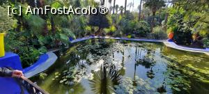 [P29] Marrakech, Grădina Majorelle, Iazul cu Nuferi pozat de sus de pe Pergolă » foto by mprofeanu
 - 
<span class="allrVoted glyphicon glyphicon-heart hidden" id="av1483276"></span>
<a class="m-l-10 hidden" id="sv1483276" onclick="voting_Foto_DelVot(,1483276,4416)" role="button">șterge vot <span class="glyphicon glyphicon-remove"></span></a>
<a id="v91483276" class=" c-red"  onclick="voting_Foto_SetVot(1483276)" role="button"><span class="glyphicon glyphicon-heart-empty"></span> <b>LIKE</b> = Votează poza</a> <img class="hidden"  id="f1483276W9" src="/imagini/loader.gif" border="0" /><span class="AjErrMes hidden" id="e1483276ErM"></span>