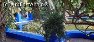 [P30] Marrakech, Grădina Majorelle, Iazul cu nuferi pozat de jos de lângă apă » foto by mprofeanu
 - 
<span class="allrVoted glyphicon glyphicon-heart hidden" id="av1483277"></span>
<a class="m-l-10 hidden" id="sv1483277" onclick="voting_Foto_DelVot(,1483277,4416)" role="button">șterge vot <span class="glyphicon glyphicon-remove"></span></a>
<a id="v91483277" class=" c-red"  onclick="voting_Foto_SetVot(1483277)" role="button"><span class="glyphicon glyphicon-heart-empty"></span> <b>LIKE</b> = Votează poza</a> <img class="hidden"  id="f1483277W9" src="/imagini/loader.gif" border="0" /><span class="AjErrMes hidden" id="e1483277ErM"></span>