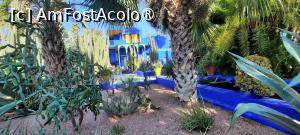 [P33] Marrakech, Grădina Majorelle, Muzeul de Artă Berberă Pierre Bergé pozat din alt unghi » foto by mprofeanu
 - 
<span class="allrVoted glyphicon glyphicon-heart hidden" id="av1483280"></span>
<a class="m-l-10 hidden" id="sv1483280" onclick="voting_Foto_DelVot(,1483280,4416)" role="button">șterge vot <span class="glyphicon glyphicon-remove"></span></a>
<a id="v91483280" class=" c-red"  onclick="voting_Foto_SetVot(1483280)" role="button"><span class="glyphicon glyphicon-heart-empty"></span> <b>LIKE</b> = Votează poza</a> <img class="hidden"  id="f1483280W9" src="/imagini/loader.gif" border="0" /><span class="AjErrMes hidden" id="e1483280ErM"></span>