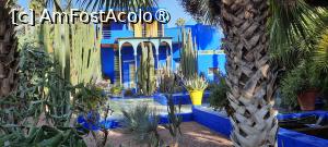 [P34] Marrakech, Grădina Majorelle, Muzeul de Artă Berberă Pierre Bergé pozat din alt unghi » foto by mprofeanu
 - 
<span class="allrVoted glyphicon glyphicon-heart hidden" id="av1483281"></span>
<a class="m-l-10 hidden" id="sv1483281" onclick="voting_Foto_DelVot(,1483281,4416)" role="button">șterge vot <span class="glyphicon glyphicon-remove"></span></a>
<a id="v91483281" class=" c-red"  onclick="voting_Foto_SetVot(1483281)" role="button"><span class="glyphicon glyphicon-heart-empty"></span> <b>LIKE</b> = Votează poza</a> <img class="hidden"  id="f1483281W9" src="/imagini/loader.gif" border="0" /><span class="AjErrMes hidden" id="e1483281ErM"></span>