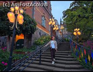 [P16] Imagini din parcul Tivoli » foto by Opelantara
 - 
<span class="allrVoted glyphicon glyphicon-heart hidden" id="av1544130"></span>
<a class="m-l-10 hidden" id="sv1544130" onclick="voting_Foto_DelVot(,1544130,4424)" role="button">șterge vot <span class="glyphicon glyphicon-remove"></span></a>
<a id="v91544130" class=" c-red"  onclick="voting_Foto_SetVot(1544130)" role="button"><span class="glyphicon glyphicon-heart-empty"></span> <b>LIKE</b> = Votează poza</a> <img class="hidden"  id="f1544130W9" src="/imagini/loader.gif" border="0" /><span class="AjErrMes hidden" id="e1544130ErM"></span>