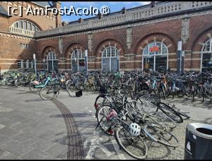[P17] Asa aratau standurile cu biciclete din fata garii » foto by Opelantara
 - 
<span class="allrVoted glyphicon glyphicon-heart hidden" id="av1544131"></span>
<a class="m-l-10 hidden" id="sv1544131" onclick="voting_Foto_DelVot(,1544131,4424)" role="button">șterge vot <span class="glyphicon glyphicon-remove"></span></a>
<a id="v91544131" class=" c-red"  onclick="voting_Foto_SetVot(1544131)" role="button"><span class="glyphicon glyphicon-heart-empty"></span> <b>LIKE</b> = Votează poza</a> <img class="hidden"  id="f1544131W9" src="/imagini/loader.gif" border="0" /><span class="AjErrMes hidden" id="e1544131ErM"></span>