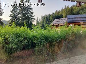 [P07] Camera standard parter fără balcon; vedere » foto by crismis
 - 
<span class="allrVoted glyphicon glyphicon-heart hidden" id="av1493416"></span>
<a class="m-l-10 hidden" id="sv1493416" onclick="voting_Foto_DelVot(,1493416,4449)" role="button">șterge vot <span class="glyphicon glyphicon-remove"></span></a>
<a id="v91493416" class=" c-red"  onclick="voting_Foto_SetVot(1493416)" role="button"><span class="glyphicon glyphicon-heart-empty"></span> <b>LIKE</b> = Votează poza</a> <img class="hidden"  id="f1493416W9" src="/imagini/loader.gif" border="0" /><span class="AjErrMes hidden" id="e1493416ErM"></span>