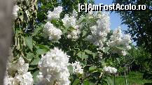 [P23]  -- <small>// FĂRĂ DESCRIERE</small> » foto by cotoranu
 - 
<span class="allrVoted glyphicon glyphicon-heart hidden" id="av396592"></span>
<a class="m-l-10 hidden" id="sv396592" onclick="voting_Foto_DelVot(,396592,4457)" role="button">șterge vot <span class="glyphicon glyphicon-remove"></span></a>
<a id="v9396592" class=" c-red"  onclick="voting_Foto_SetVot(396592)" role="button"><span class="glyphicon glyphicon-heart-empty"></span> <b>LIKE</b> = Votează poza</a> <img class="hidden"  id="f396592W9" src="/imagini/loader.gif" border="0" /><span class="AjErrMes hidden" id="e396592ErM"></span>