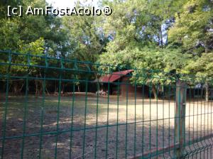 [P12] Zoo Ploiești, Bucov » foto by Mioritik
 - 
<span class="allrVoted glyphicon glyphicon-heart hidden" id="av1247794"></span>
<a class="m-l-10 hidden" id="sv1247794" onclick="voting_Foto_DelVot(,1247794,4463)" role="button">șterge vot <span class="glyphicon glyphicon-remove"></span></a>
<a id="v91247794" class=" c-red"  onclick="voting_Foto_SetVot(1247794)" role="button"><span class="glyphicon glyphicon-heart-empty"></span> <b>LIKE</b> = Votează poza</a> <img class="hidden"  id="f1247794W9" src="/imagini/loader.gif" border="0" /><span class="AjErrMes hidden" id="e1247794ErM"></span>