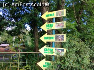 [P15] Zoo Ploiești, Bucov » foto by Mioritik
 - 
<span class="allrVoted glyphicon glyphicon-heart hidden" id="av1247797"></span>
<a class="m-l-10 hidden" id="sv1247797" onclick="voting_Foto_DelVot(,1247797,4463)" role="button">șterge vot <span class="glyphicon glyphicon-remove"></span></a>
<a id="v91247797" class=" c-red"  onclick="voting_Foto_SetVot(1247797)" role="button"><span class="glyphicon glyphicon-heart-empty"></span> <b>LIKE</b> = Votează poza</a> <img class="hidden"  id="f1247797W9" src="/imagini/loader.gif" border="0" /><span class="AjErrMes hidden" id="e1247797ErM"></span>