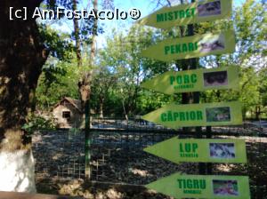 [P35] Zoo Ploiești, Bucov » foto by Mioritik
 - 
<span class="allrVoted glyphicon glyphicon-heart hidden" id="av1247817"></span>
<a class="m-l-10 hidden" id="sv1247817" onclick="voting_Foto_DelVot(,1247817,4463)" role="button">șterge vot <span class="glyphicon glyphicon-remove"></span></a>
<a id="v91247817" class=" c-red"  onclick="voting_Foto_SetVot(1247817)" role="button"><span class="glyphicon glyphicon-heart-empty"></span> <b>LIKE</b> = Votează poza</a> <img class="hidden"  id="f1247817W9" src="/imagini/loader.gif" border="0" /><span class="AjErrMes hidden" id="e1247817ErM"></span>