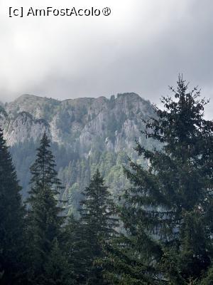 [P08] Vedere Bucegi din traseu » foto by kemi27
 - 
<span class="allrVoted glyphicon glyphicon-heart hidden" id="av1542970"></span>
<a class="m-l-10 hidden" id="sv1542970" onclick="voting_Foto_DelVot(,1542970,4537)" role="button">șterge vot <span class="glyphicon glyphicon-remove"></span></a>
<a id="v91542970" class=" c-red"  onclick="voting_Foto_SetVot(1542970)" role="button"><span class="glyphicon glyphicon-heart-empty"></span> <b>LIKE</b> = Votează poza</a> <img class="hidden"  id="f1542970W9" src="/imagini/loader.gif" border="0" /><span class="AjErrMes hidden" id="e1542970ErM"></span>