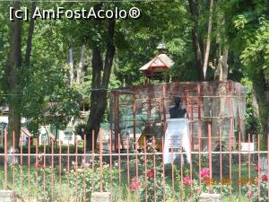 [P58] Piatra Neamț - Pe Str. Ștefan cel Mare, Parcul Zoo și bustul lui Nicu Albu.  » foto by iulianic
 - 
<span class="allrVoted glyphicon glyphicon-heart hidden" id="av752348"></span>
<a class="m-l-10 hidden" id="sv752348" onclick="voting_Foto_DelVot(,752348,4549)" role="button">șterge vot <span class="glyphicon glyphicon-remove"></span></a>
<a id="v9752348" class=" c-red"  onclick="voting_Foto_SetVot(752348)" role="button"><span class="glyphicon glyphicon-heart-empty"></span> <b>LIKE</b> = Votează poza</a> <img class="hidden"  id="f752348W9" src="/imagini/loader.gif" border="0" /><span class="AjErrMes hidden" id="e752348ErM"></span>
