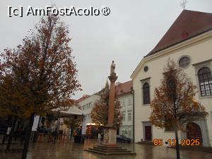 [P65]  -- <small>// FĂRĂ DESCRIERE</small> » foto by Yolanda
 - 
<span class="allrVoted glyphicon glyphicon-heart hidden" id="av1512441"></span>
<a class="m-l-10 hidden" id="sv1512441" onclick="voting_Foto_DelVot(,1512441,4596)" role="button">șterge vot <span class="glyphicon glyphicon-remove"></span></a>
<a id="v91512441" class=" c-red"  onclick="voting_Foto_SetVot(1512441)" role="button"><span class="glyphicon glyphicon-heart-empty"></span> <b>LIKE</b> = Votează poza</a> <img class="hidden"  id="f1512441W9" src="/imagini/loader.gif" border="0" /><span class="AjErrMes hidden" id="e1512441ErM"></span>