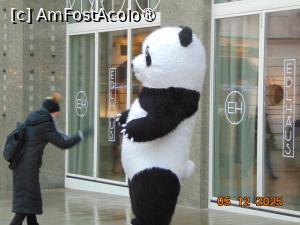 [P82] ursul panda » foto by Yolanda
 - 
<span class="allrVoted glyphicon glyphicon-heart hidden" id="av1512458"></span>
<a class="m-l-10 hidden" id="sv1512458" onclick="voting_Foto_DelVot(,1512458,4596)" role="button">șterge vot <span class="glyphicon glyphicon-remove"></span></a>
<a id="v91512458" class=" c-red"  onclick="voting_Foto_SetVot(1512458)" role="button"><span class="glyphicon glyphicon-heart-empty"></span> <b>LIKE</b> = Votează poza</a> <img class="hidden"  id="f1512458W9" src="/imagini/loader.gif" border="0" /><span class="AjErrMes hidden" id="e1512458ErM"></span>