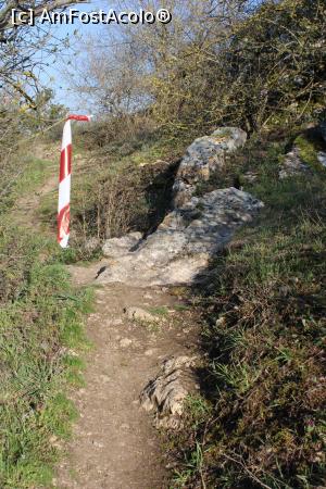 [P37] Rezervația Gura Dobrogei, jud. Constanța, Pe potecă, la întoarcere de la Peștera Liliecilor spre Mănăstire, se vede și banda roșie cu alb » foto by mprofeanu
 - 
<span class="allrVoted glyphicon glyphicon-heart hidden" id="av1230119"></span>
<a class="m-l-10 hidden" id="sv1230119" onclick="voting_Foto_DelVot(,1230119,4623)" role="button">șterge vot <span class="glyphicon glyphicon-remove"></span></a>
<a id="v91230119" class=" c-red"  onclick="voting_Foto_SetVot(1230119)" role="button"><span class="glyphicon glyphicon-heart-empty"></span> <b>LIKE</b> = Votează poza</a> <img class="hidden"  id="f1230119W9" src="/imagini/loader.gif" border="0" /><span class="AjErrMes hidden" id="e1230119ErM"></span>