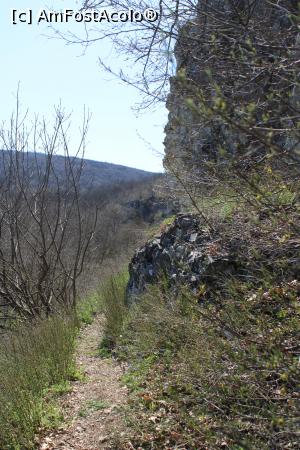 [P35] Rezervația Naturală Canaraua Fetii, jud. Constanța, Constanța, Poteca spre Peștera Sihaștrilor, coborâm... » foto by mprofeanu
 - 
<span class="allrVoted glyphicon glyphicon-heart hidden" id="av1230723"></span>
<a class="m-l-10 hidden" id="sv1230723" onclick="voting_Foto_DelVot(,1230723,4623)" role="button">șterge vot <span class="glyphicon glyphicon-remove"></span></a>
<a id="v91230723" class=" c-red"  onclick="voting_Foto_SetVot(1230723)" role="button"><span class="glyphicon glyphicon-heart-empty"></span> <b>LIKE</b> = Votează poza</a> <img class="hidden"  id="f1230723W9" src="/imagini/loader.gif" border="0" /><span class="AjErrMes hidden" id="e1230723ErM"></span>