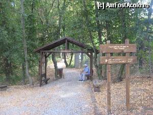 [P03] Intre UMF si Spitalul Judetean, la mijlocul distantei, nu mai mare de 200 de metri, incepe 'Promenada verde', o alee de 1111 metri, ce duce pana la Gradina Zoologica de la Platoul Cornesti » foto by dorgo
 - 
<span class="allrVoted glyphicon glyphicon-heart hidden" id="av371179"></span>
<a class="m-l-10 hidden" id="sv371179" onclick="voting_Foto_DelVot(,371179,4629)" role="button">șterge vot <span class="glyphicon glyphicon-remove"></span></a>
<a id="v9371179" class=" c-red"  onclick="voting_Foto_SetVot(371179)" role="button"><span class="glyphicon glyphicon-heart-empty"></span> <b>LIKE</b> = Votează poza</a> <img class="hidden"  id="f371179W9" src="/imagini/loader.gif" border="0" /><span class="AjErrMes hidden" id="e371179ErM"></span>