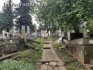 [P35] Cimitirul catolic » foto by adso
 - 
<span class="allrVoted glyphicon glyphicon-heart hidden" id="av1452792"></span>
<a class="m-l-10 hidden" id="sv1452792" onclick="voting_Foto_DelVot(,1452792,4629)" role="button">șterge vot <span class="glyphicon glyphicon-remove"></span></a>
<a id="v91452792" class=" c-red"  onclick="voting_Foto_SetVot(1452792)" role="button"><span class="glyphicon glyphicon-heart-empty"></span> <b>LIKE</b> = Votează poza</a> <img class="hidden"  id="f1452792W9" src="/imagini/loader.gif" border="0" /><span class="AjErrMes hidden" id="e1452792ErM"></span>