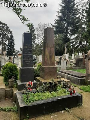 [P49] Cimitirul reformat » foto by adso
 - 
<span class="allrVoted glyphicon glyphicon-heart hidden" id="av1452806"></span>
<a class="m-l-10 hidden" id="sv1452806" onclick="voting_Foto_DelVot(,1452806,4629)" role="button">șterge vot <span class="glyphicon glyphicon-remove"></span></a>
<a id="v91452806" class=" c-red"  onclick="voting_Foto_SetVot(1452806)" role="button"><span class="glyphicon glyphicon-heart-empty"></span> <b>LIKE</b> = Votează poza</a> <img class="hidden"  id="f1452806W9" src="/imagini/loader.gif" border="0" /><span class="AjErrMes hidden" id="e1452806ErM"></span>