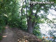 P14 [MAY-2013] Pădurea Pustnicu - Cărarea, lacul şi arborii umbroşi de la mal. 