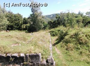 [P24] La Cetatea de la Costești de Patrimoniu UNESCO, nu există taxă, nu există pază, turiștii se urcă pe zidurile și așa fragile ca să facă poze iar vacile pasc liniștite.  » foto by Aurici
 - 
<span class="allrVoted glyphicon glyphicon-heart hidden" id="av810572"></span>
<a class="m-l-10 hidden" id="sv810572" onclick="voting_Foto_DelVot(,810572,4656)" role="button">șterge vot <span class="glyphicon glyphicon-remove"></span></a>
<a id="v9810572" class=" c-red"  onclick="voting_Foto_SetVot(810572)" role="button"><span class="glyphicon glyphicon-heart-empty"></span> <b>LIKE</b> = Votează poza</a> <img class="hidden"  id="f810572W9" src="/imagini/loader.gif" border="0" /><span class="AjErrMes hidden" id="e810572ErM"></span>