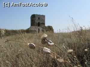 [P04] Cetatea Enisala - Dobrogea.  » foto by tata123 🔱
 - 
<span class="allrVoted glyphicon glyphicon-heart hidden" id="av1036943"></span>
<a class="m-l-10 hidden" id="sv1036943" onclick="voting_Foto_DelVot(,1036943,4656)" role="button">șterge vot <span class="glyphicon glyphicon-remove"></span></a>
<a id="v91036943" class=" c-red"  onclick="voting_Foto_SetVot(1036943)" role="button"><span class="glyphicon glyphicon-heart-empty"></span> <b>LIKE</b> = Votează poza</a> <img class="hidden"  id="f1036943W9" src="/imagini/loader.gif" border="0" /><span class="AjErrMes hidden" id="e1036943ErM"></span>