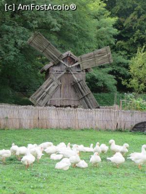 [P10] Muzeul Civilizației Populare Tradiționale „Astra” - Sibiu.  » foto by tata123 🔱
 - 
<span class="allrVoted glyphicon glyphicon-heart hidden" id="av1128948"></span>
<a class="m-l-10 hidden" id="sv1128948" onclick="voting_Foto_DelVot(,1128948,4656)" role="button">șterge vot <span class="glyphicon glyphicon-remove"></span></a>
<a id="v91128948" class=" c-red"  onclick="voting_Foto_SetVot(1128948)" role="button"><span class="glyphicon glyphicon-heart-empty"></span> <b>LIKE</b> = Votează poza</a> <img class="hidden"  id="f1128948W9" src="/imagini/loader.gif" border="0" /><span class="AjErrMes hidden" id="e1128948ErM"></span>