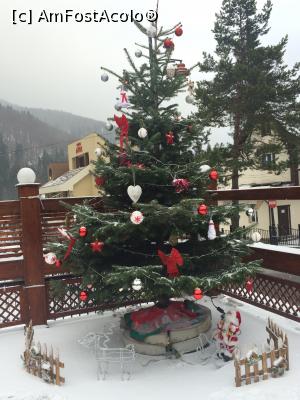 [P02] Restaurantul Snow Sinaia. Bradul de Craciun de pe terasa.  » foto by Floria
 - 
<span class="allrVoted glyphicon glyphicon-heart hidden" id="av943963"></span>
<a class="m-l-10 hidden" id="sv943963" onclick="voting_Foto_DelVot(,943963,4690)" role="button">șterge vot <span class="glyphicon glyphicon-remove"></span></a>
<a id="v9943963" class=" c-red"  onclick="voting_Foto_SetVot(943963)" role="button"><span class="glyphicon glyphicon-heart-empty"></span> <b>LIKE</b> = Votează poza</a> <img class="hidden"  id="f943963W9" src="/imagini/loader.gif" border="0" /><span class="AjErrMes hidden" id="e943963ErM"></span>