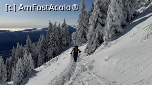 [P14] Munții Ciucaș - de la Bratocea pe Vârful Ciucaș » foto by Mika
 - 
<span class="allrVoted glyphicon glyphicon-heart hidden" id="av1516088"></span>
<a class="m-l-10 hidden" id="sv1516088" onclick="voting_Foto_DelVot(,1516088,4696)" role="button">șterge vot <span class="glyphicon glyphicon-remove"></span></a>
<a id="v91516088" class=" c-red"  onclick="voting_Foto_SetVot(1516088)" role="button"><span class="glyphicon glyphicon-heart-empty"></span> <b>LIKE</b> = Votează poza</a> <img class="hidden"  id="f1516088W9" src="/imagini/loader.gif" border="0" /><span class="AjErrMes hidden" id="e1516088ErM"></span>