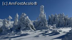 [P28] Munții Ciucaș - de la Bratocea pe Vârful Ciucaș » foto by Mika
 - 
<span class="allrVoted glyphicon glyphicon-heart hidden" id="av1516102"></span>
<a class="m-l-10 hidden" id="sv1516102" onclick="voting_Foto_DelVot(,1516102,4696)" role="button">șterge vot <span class="glyphicon glyphicon-remove"></span></a>
<a id="v91516102" class=" c-red"  onclick="voting_Foto_SetVot(1516102)" role="button"><span class="glyphicon glyphicon-heart-empty"></span> <b>LIKE</b> = Votează poza</a> <img class="hidden"  id="f1516102W9" src="/imagini/loader.gif" border="0" /><span class="AjErrMes hidden" id="e1516102ErM"></span>