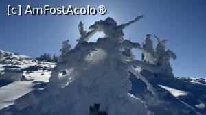 [P29] Munții Ciucaș - de la Bratocea pe Vârful Ciucaș » foto by Mika
 - 
<span class="allrVoted glyphicon glyphicon-heart hidden" id="av1516103"></span>
<a class="m-l-10 hidden" id="sv1516103" onclick="voting_Foto_DelVot(,1516103,4696)" role="button">șterge vot <span class="glyphicon glyphicon-remove"></span></a>
<a id="v91516103" class=" c-red"  onclick="voting_Foto_SetVot(1516103)" role="button"><span class="glyphicon glyphicon-heart-empty"></span> <b>LIKE</b> = Votează poza</a> <img class="hidden"  id="f1516103W9" src="/imagini/loader.gif" border="0" /><span class="AjErrMes hidden" id="e1516103ErM"></span>