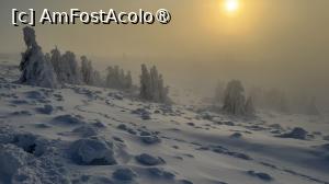 [P48] Munții Ciucaș - de la Bratocea pe Vârful Ciucaș » foto by Mika
 - 
<span class="allrVoted glyphicon glyphicon-heart hidden" id="av1516122"></span>
<a class="m-l-10 hidden" id="sv1516122" onclick="voting_Foto_DelVot(,1516122,4696)" role="button">șterge vot <span class="glyphicon glyphicon-remove"></span></a>
<a id="v91516122" class=" c-red"  onclick="voting_Foto_SetVot(1516122)" role="button"><span class="glyphicon glyphicon-heart-empty"></span> <b>LIKE</b> = Votează poza</a> <img class="hidden"  id="f1516122W9" src="/imagini/loader.gif" border="0" /><span class="AjErrMes hidden" id="e1516122ErM"></span>