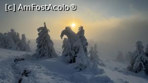 [P49] Munții Ciucaș - de la Bratocea pe Vârful Ciucaș » foto by Mika
 - 
<span class="allrVoted glyphicon glyphicon-heart hidden" id="av1516123"></span>
<a class="m-l-10 hidden" id="sv1516123" onclick="voting_Foto_DelVot(,1516123,4696)" role="button">șterge vot <span class="glyphicon glyphicon-remove"></span></a>
<a id="v91516123" class=" c-red"  onclick="voting_Foto_SetVot(1516123)" role="button"><span class="glyphicon glyphicon-heart-empty"></span> <b>LIKE</b> = Votează poza</a> <img class="hidden"  id="f1516123W9" src="/imagini/loader.gif" border="0" /><span class="AjErrMes hidden" id="e1516123ErM"></span>