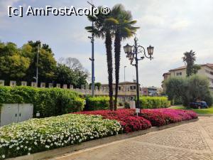 [P10] Pe faleza din Garda » foto by crismis
 - 
<span class="allrVoted glyphicon glyphicon-heart hidden" id="av1514899"></span>
<a class="m-l-10 hidden" id="sv1514899" onclick="voting_Foto_DelVot(,1514899,4749)" role="button">șterge vot <span class="glyphicon glyphicon-remove"></span></a>
<a id="v91514899" class=" c-red"  onclick="voting_Foto_SetVot(1514899)" role="button"><span class="glyphicon glyphicon-heart-empty"></span> <b>LIKE</b> = Votează poza</a> <img class="hidden"  id="f1514899W9" src="/imagini/loader.gif" border="0" /><span class="AjErrMes hidden" id="e1514899ErM"></span>